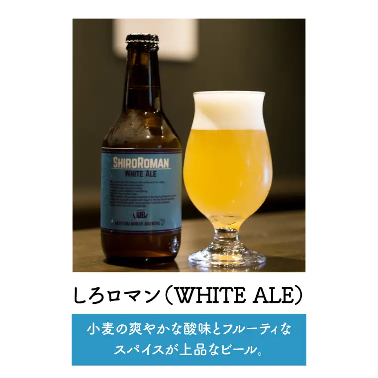 CO002-1 クラフトビール（赤沼ロマン）330ml×3本入