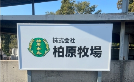 【自社農場宮崎牛】柏原和牛焼肉・特選カルビ　1キロ 焼肉 和牛焼肉 牛肉焼肉 カルビ焼肉 国産焼肉