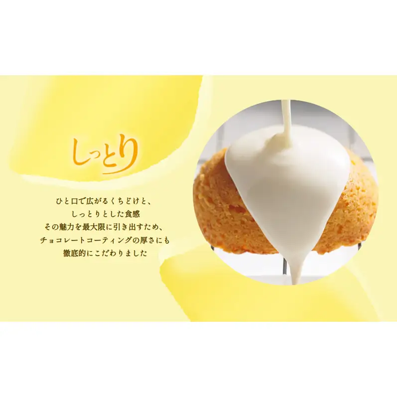お菓子 【フランセ】 レモンケーキ  1箱12個入×3セット スイーツ ケーキ 個包装 洋菓子 菓子 おかし おやつ デザート レモン チョコレート 静岡 浜松