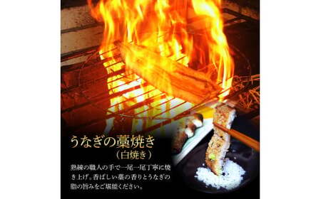 うなぎ蒲焼き 3尾 + 藁焼き(白焼き)3尾 6尾セット 1尾約140g タレ付き