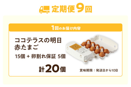 【9ヵ月定期便】ココテラスの明日（赤たまご）15個 + 5個保証（計20個）【JGAP認証】 農家直送 新鮮 卵 タマゴ 赤卵 玉子 鶏卵 朝食 夕食 夜食 朝ごはん たまご焼き オムレツ 卵ご飯 料理 濃厚 飼料にこだわった 卵かけご飯 米たまご 生卵 大容量 お取り寄せ 愛知県 常滑市