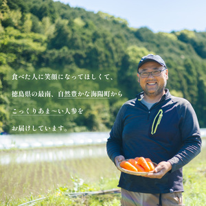 濃紅みつキャロット 詰め合わせ セット ドレッシング 2種×各1本 カレー 5食 ポタージュ 5食 ジャム 2瓶 人参 にんじん