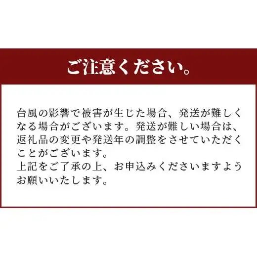 訳あり「紅福姫ブランド」石垣島のマンゴー 約2.4kg 　OT-02
