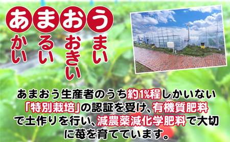 定期便 3ヶ月 いちご あまおう 800g 特選 あまおう 2027年2月より発送 イチゴ 苺 フルーツ 果物 デザート 3回 お楽しみ ※配送不可：離島 