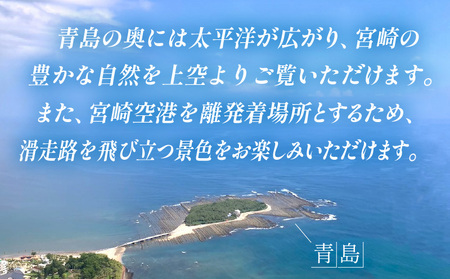 宮崎市ヘリコプター遊覧チケット（青島コース） ※宮崎空港離発着 観光 遊覧 ヘリ 体験