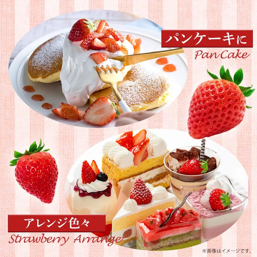 訳ありいちご とくしまオーガニックいちご（約700g）ご家庭用【2026年12月下旬から順次発送】
