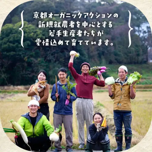 【12回定期便】旬の京野菜セットＳ 野菜【アスカ有機農園】