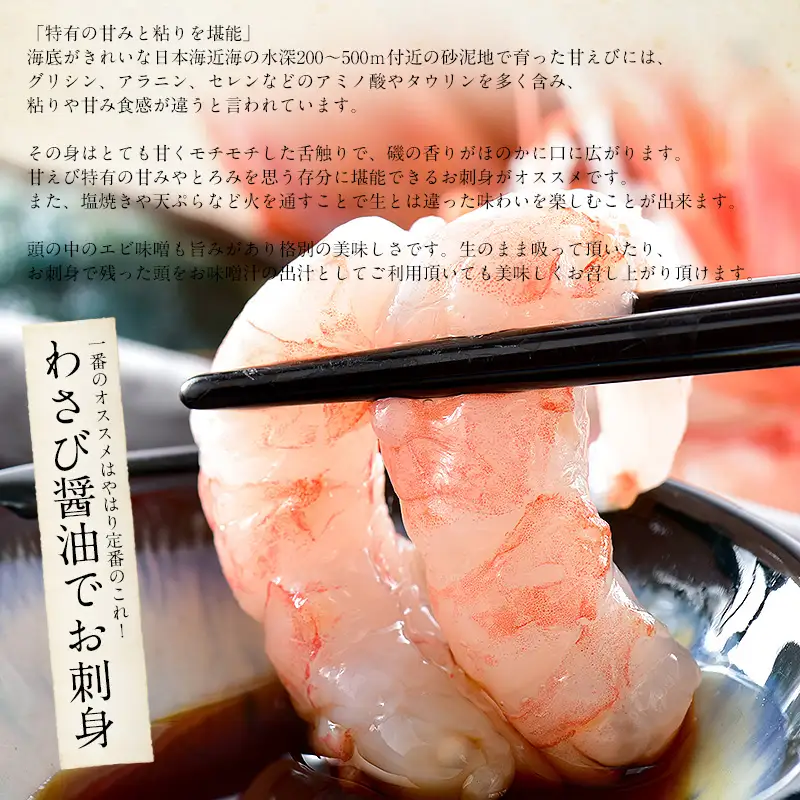 福井県敦賀産甘えび・子持ちE大サイズ約500g(約30尾) [053-a028]