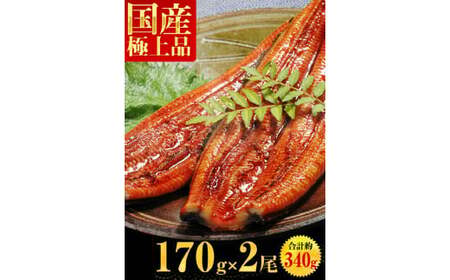 [001-a009] 国産うなぎ蒲焼き2尾セット