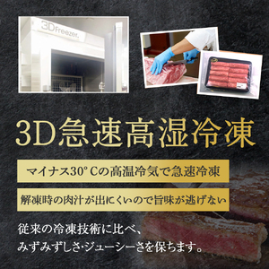 【人気鉄板焼き店厳選】熟成宮崎牛A4等級ロース・赤身すき焼き食べ比べセット　オリジナルタレ付き（国産 牛肉 黒毛和牛 宮崎牛 焼肉 すき焼き スライス 赤身 霜降り 特製タレ付き） 和牛スライス 牛肉スライス スライス スライス スライス スライス