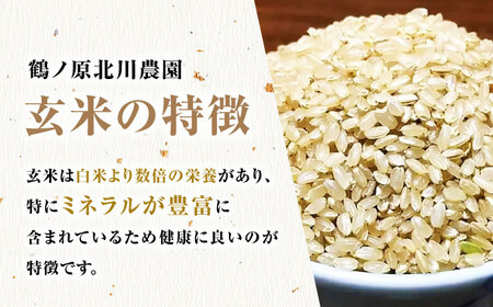 栽培期間中農薬不使用 令和6年産 金のいぶき 玄米 5kg /鶴ノ原北川農園 [UDL021] 米 お米 こめ 玄米 ブランド米