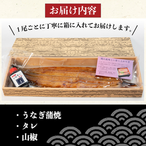 国産 うなぎ 蒲焼き 4尾150g以上 × 4本入 計600g 以上 ( 鰻 うなぎ うなぎ ふっくら鰻 大人気鰻 鰻蒲焼 鰻蒲焼き 滋賀県鰻 竜王町鰻 さんしょう たれ セット 本格鰻 ふっくらうなぎ 本格うなぎ 4匹 4尾鰻 4尾うなぎ 冷凍鰻 大人気うなぎ 人気うなぎ 土用の丑の日うなぎ うなぎ蒲焼き うなぎ蒲焼 冷凍うなぎ 蒲焼 贈答うなぎ うな丼 うな重 ひつまぶし 人気鰻 惣菜 海鮮 贈答用鰻 お歳暮鰻 うなぎ おせち お年賀 おすすめ鰻 人気鰻 大人気鰻 ギフト鰻 贈答鰻 プレゼント鰻 滋賀県 竜王町 ふるさと納税 )