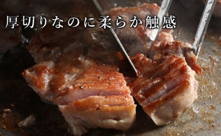 牛タン 厚切り 訳あり サイコロステーキ 牛タン【約1kg＋約100g】【冷凍】
