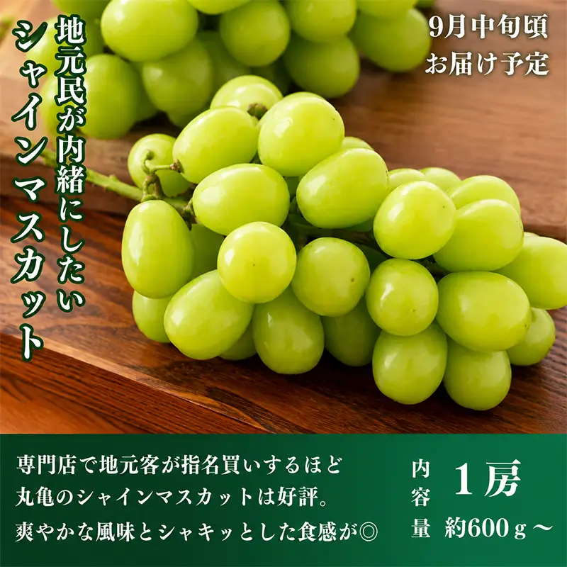 フルーツ定期便 3回 フルーツ いちご もも シャインマスカット