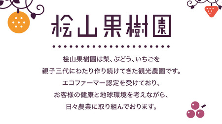 【2026年9月中旬発送開始】極上 プレミアム シャインマスカット ３房 ( １房 1kg 以上) 数量限定 【茨城県共通返礼品／常陸太田市】 桧山果樹園 農家直送 桧山果樹園 農家直送 フルーツ  甘い 直送 茨城 限定 ギフト ぶどう シャインマスカット 旬 贈答 果物 [DU017sa]
