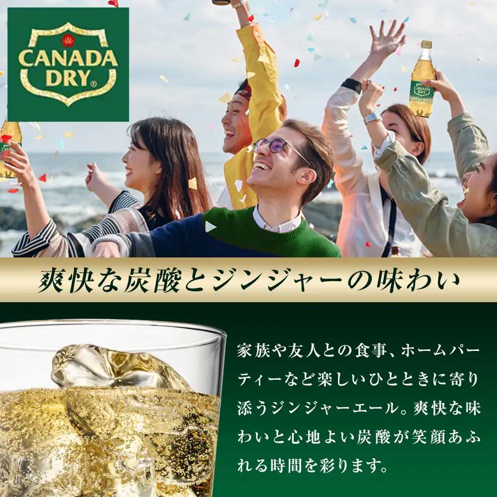 カナダドライ ジンジャーエール 500mlPET×24本×3箱　【11100-0571】リフレッシュ 炭酸飲料 ケース 箱買い まとめ買い 備蓄 飲料 ソフトドリンク ギフト ふるさと納税 さいたま市 常備 差し入れ 景品 詰め合わせ 炭酸 人気 子供 おすすめ シャンディガフ 刺激 気分爽快 料理 