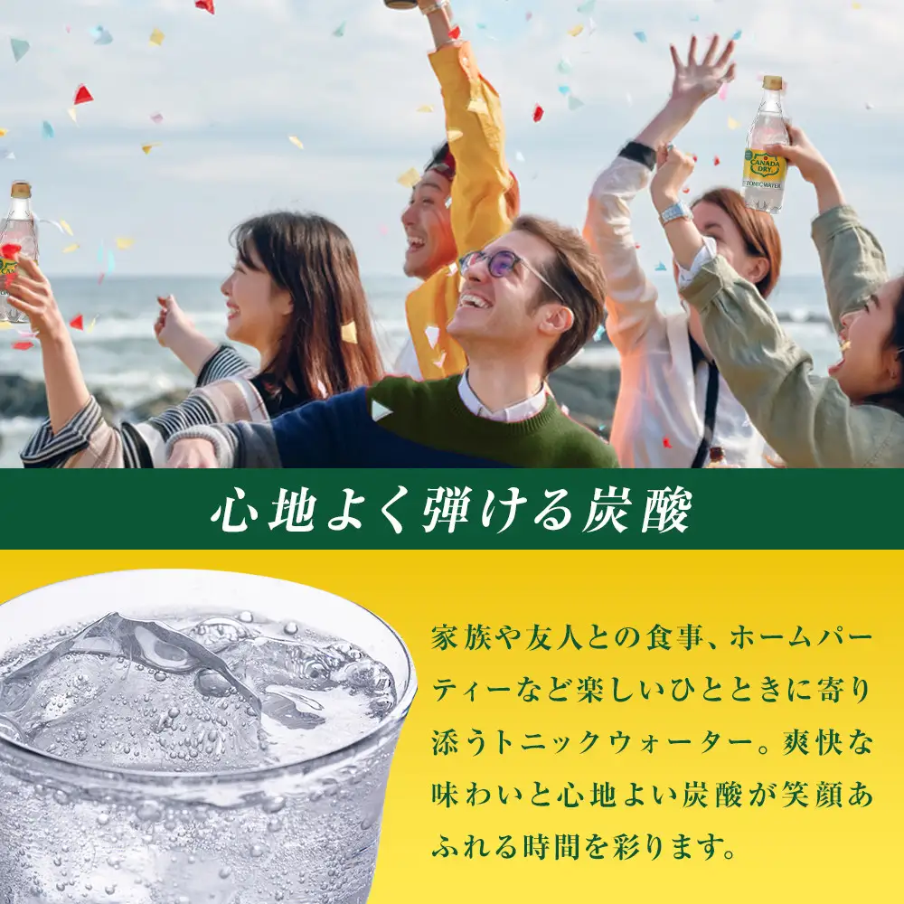 カナダドライ トニックウォーター 500mlPET×24本×3箱　【11100-0574】炭酸 無糖 ほどよい苦味 シトラス 割りもの 大人 ケース 箱買い まとめ買い 備蓄 飲料 ソフトドリンク ギフト ふるさと納税 さいたま市 常備 差し入れ 景品 人気 おすすめ
