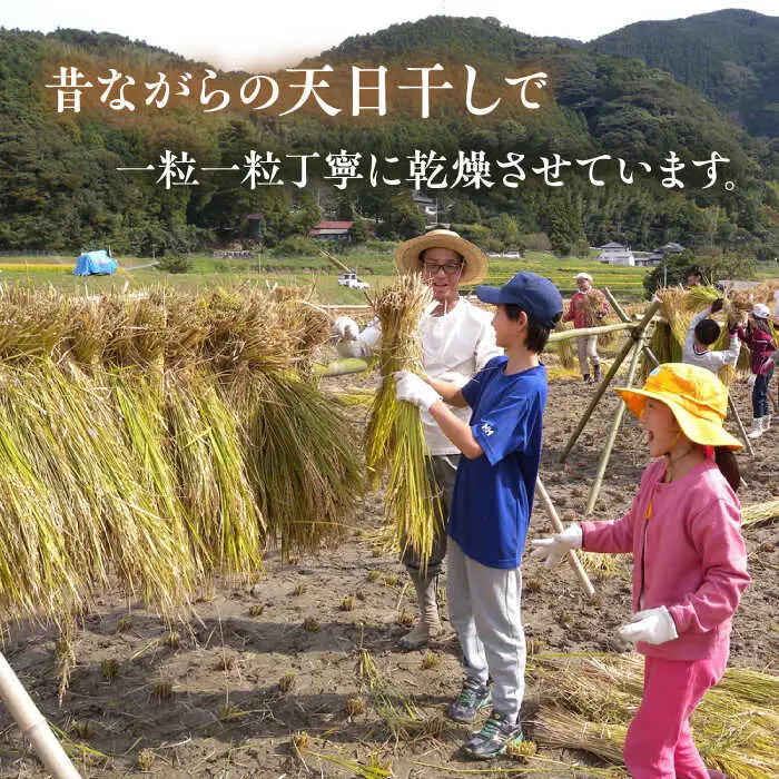 【先行受付中】 田縁米（でんえんまい）・天日（てんじつ）玄米 2kg 【2026年12月上旬順次発送】 糸島市 / NPO法人田縁プロジェクト [ATM002] 米 お米
