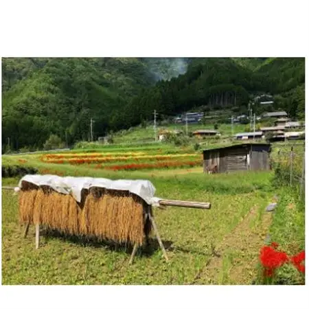 ときがゆったり流れてる「十津川　谷瀬」の地酒!季節限定【生酒】720ml　2本【配送不可地域：離島】【1217842】