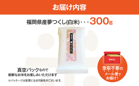 【令和5年度米】福岡県 大木町産のお米 夢つくし 白米 真空パック お試し2合 300g 福岡県 大木町 株式会社田中米穀 BC09