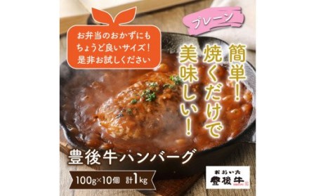 豊後牛ハンバーグ1kg(プレーン) _1201R