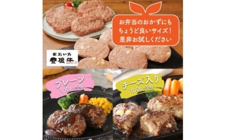 豊後牛ハンバーグ1kg(プレーン,チーズ入り) _1202R