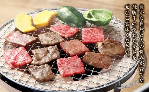 飛騨牛 A5 等級 焼肉 用 400g（ モモ肉 ）