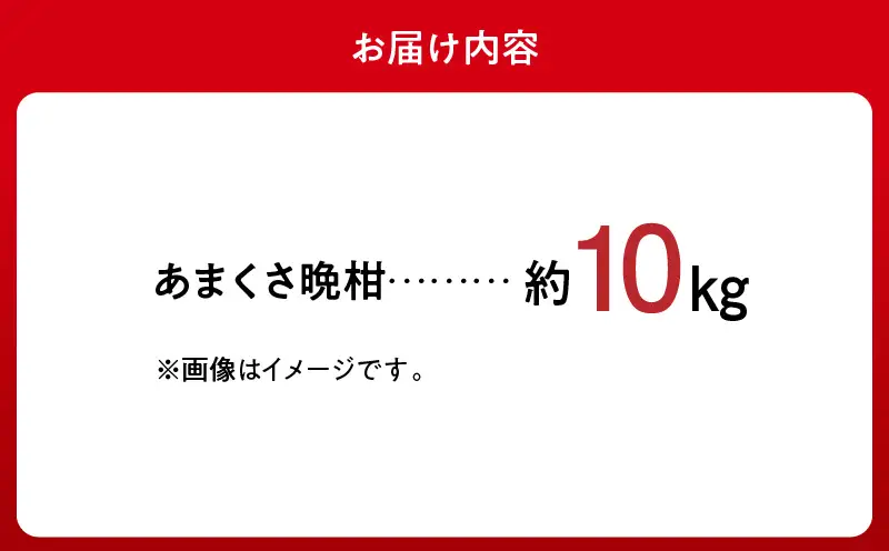 S149-002_あまくさ晩柑 約10kg【先行受付】