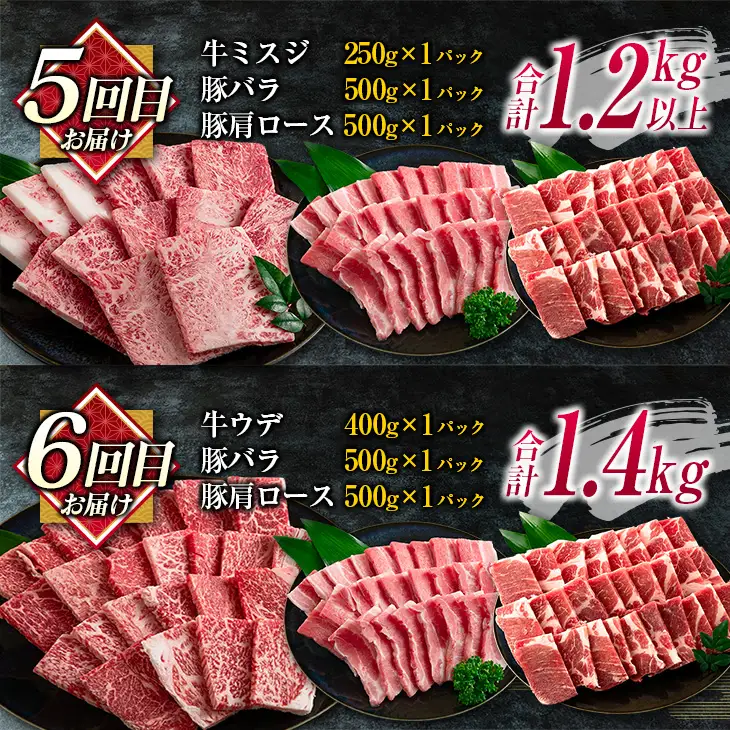 数量限定 6か月 お楽しみ 定期便 宮崎牛 豚肉 焼肉 セット 総重量8kg以上_N8-25
