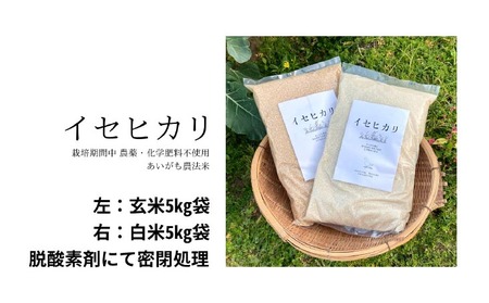 令和7年産　イセヒカリ　10kg（5kg×2）　玄米〈栽培期間中農薬不使用　あいがも農法米〉