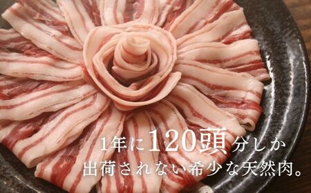 天然 猪肉 極上 バラ スライス ＆ 鹿 挽肉 セット 計500g焼肉 赤身 肉 お肉 鹿肉 猪肉 ジビエ ひき肉 ミンチ BBQ [WBH041]