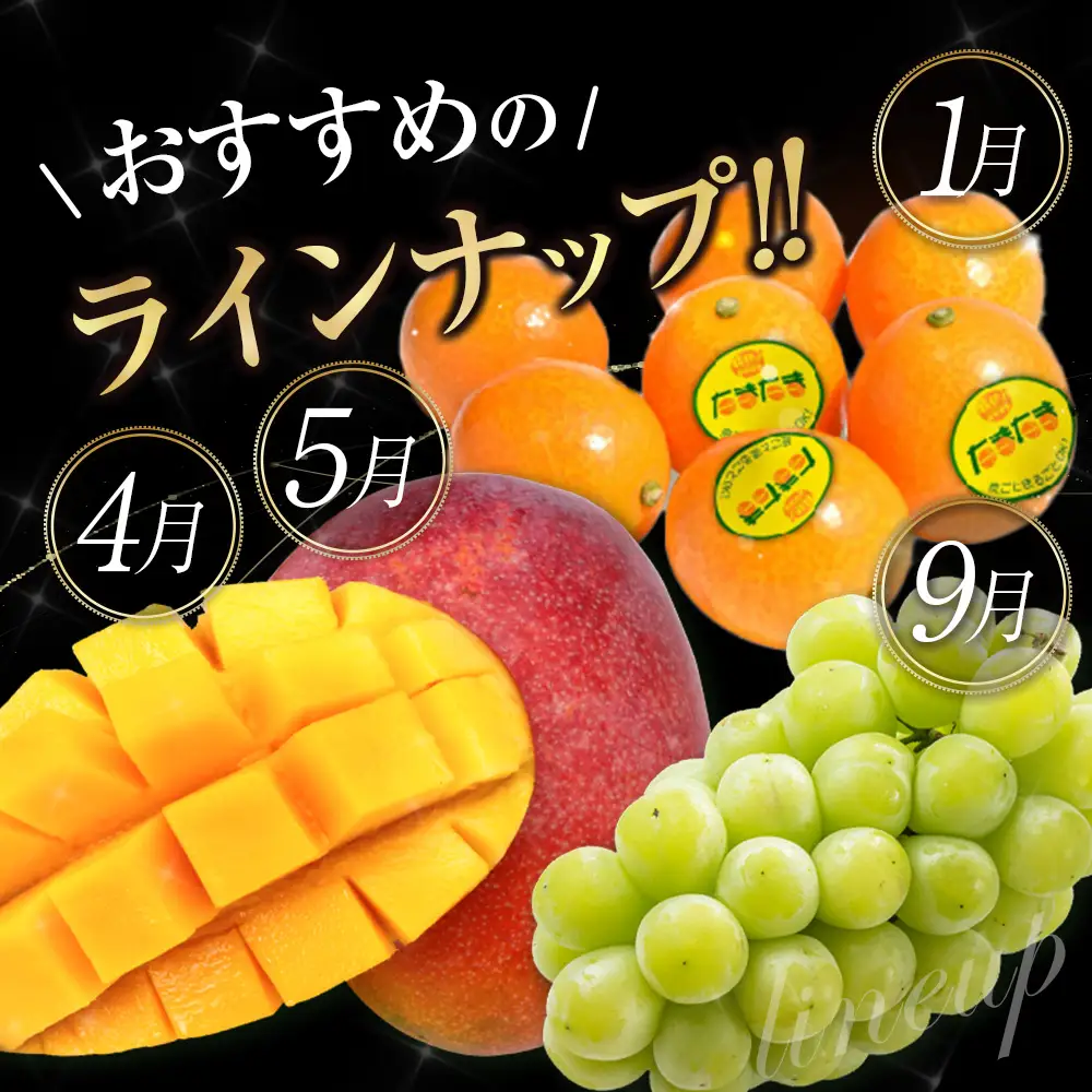 南国宮崎 プレミアムフルーツ定期便 Vol.2 12か月 送料無料 G47-2608