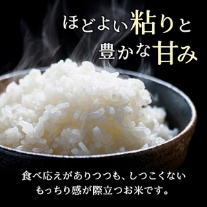 ホクレンゆめぴりか 白米 20kg（5kg×4袋） ゆめぴりか