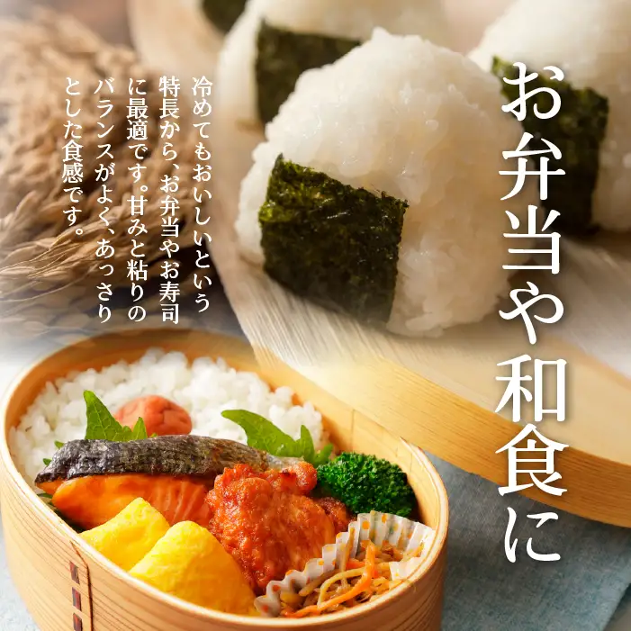 【令和7年産 3ヶ月定期配送】（精米5kg）ホクレン北海道ななつぼし SBTD092