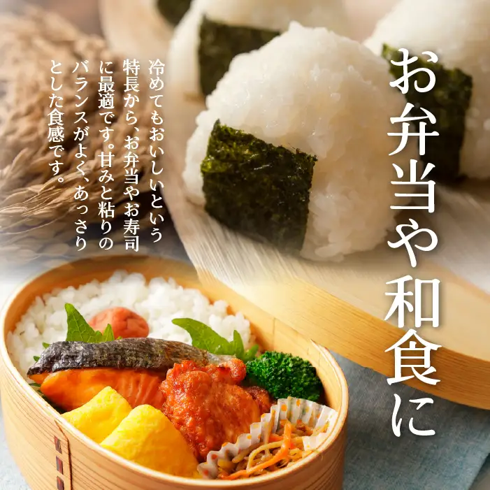 【令和7年産 6ヶ月定期配送】（無洗米2kg）ホクレン喜ななつぼし SBTD104