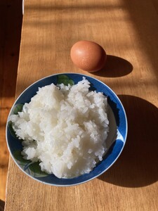 有機JAS認証【玄米】 さがびより 5kg 162-B717