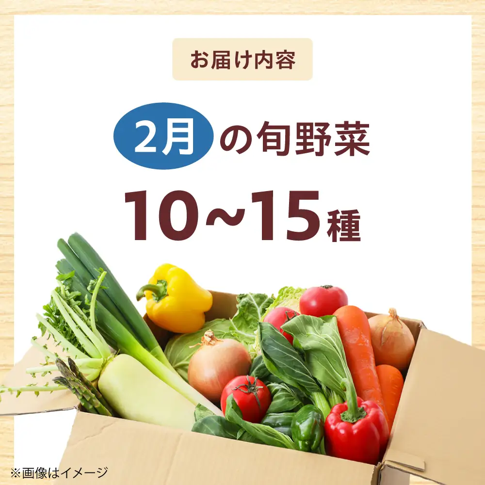 高槻野菜おまかせ詰め合わせセット 2月（10種~15種）[AOCS008] 野菜セット