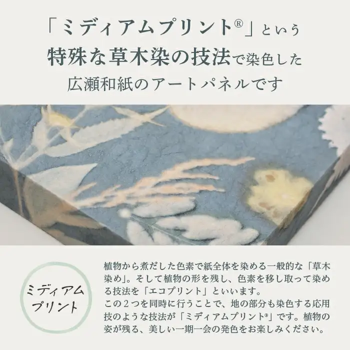 草木染め和紙 アートパネル（ログウッド）【伝統工芸 広瀬和紙 一点もの インテリア 手作り ギフト プレゼント 贈り物 アート 草木染 自然 職人 和紙 広瀬和紙 おしゃれ 植物 島根県 安来市】