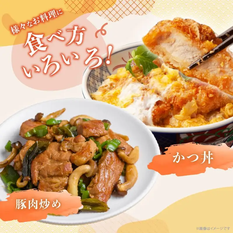 ≪宮崎ブランドポーク≫ロース(トンテキ・とんかつ用)計1.5kg 肉 豚 豚肉 国産_T023-0125
