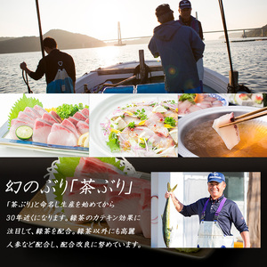 どん薩摩の黄金だし『茶ぶり＆黒豚』しゃぶしゃぶセット(2～3人前)【株式会社Never Land】never-7265