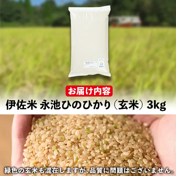 isa535 ＜14営業日以内に発送！＞令和7年産 特別栽培米 永池ひのひかり玄米(3kg) 鹿児島 永池 お米 米 玄米 伊佐米 九州米サミット 食味コンテスト 最優秀賞受賞 ヒノヒカリ 【エコファーム永池】