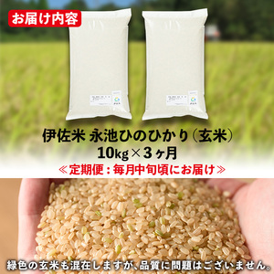 isa538 【定期便】令和6年産 特別栽培米 永池ひのひかり玄米(計30kg・10kg×3ヶ月)鹿児島 永池 お米 米 玄米 伊佐米 九州米サミット 食味コンテスト 最優秀賞受賞 ヒノヒカリ【エコファーム永池】