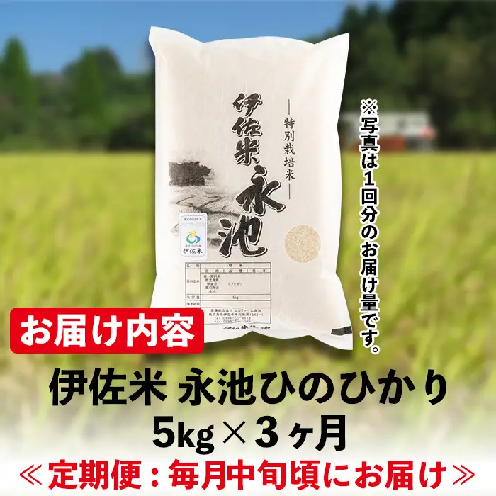 isa540 【定期便】令和8年産 新米 特別栽培米 伊佐米永池ひのひかり(計15kg・5kg×3ヶ月) 伊佐市 永池 新米 お米 米 白米 精米 伊佐米 食味コンテスト 最優秀賞受賞 ヒノヒカリ 【エコファーム永池】
