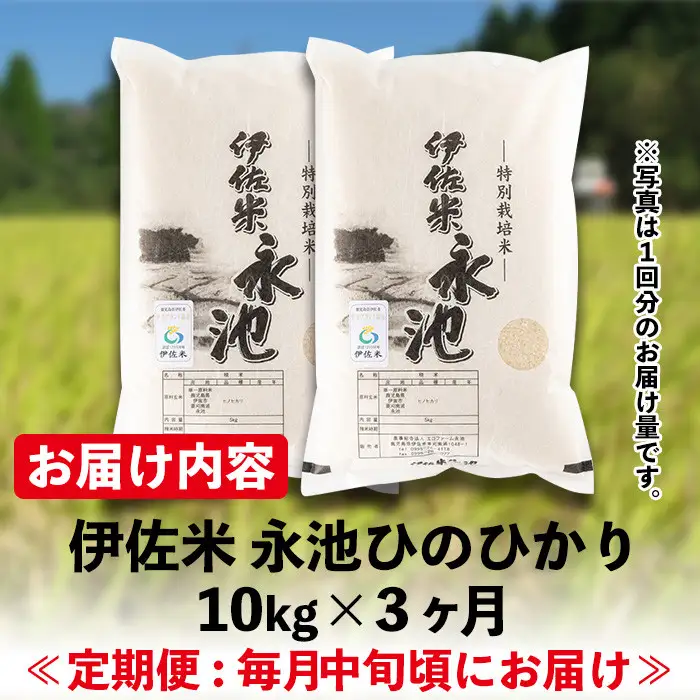 isa541 【定期便】令和8年産 新米 特別栽培米 伊佐米永池ひのひかり(計30kg・10kg×3ヶ月) 伊佐市 永池 新米 お米 米 白米 精米 伊佐米 食味コンテスト 最優秀賞受賞 ヒノヒカリ 【エコファーム永池】