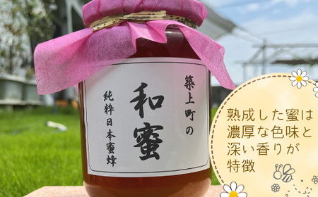 【福岡県築上町産】上村さん家の はちみつ 「築上町の 和蜜 」1kg【上村 忍】 日本 蜜蜂 にほん みつばち [ABBX003]