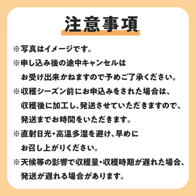 【先行受付】沖永良部島の甘くて美味しい無添加ドライフルーツ（パパイヤ）30g×3袋 W051-007u 加工品 果物