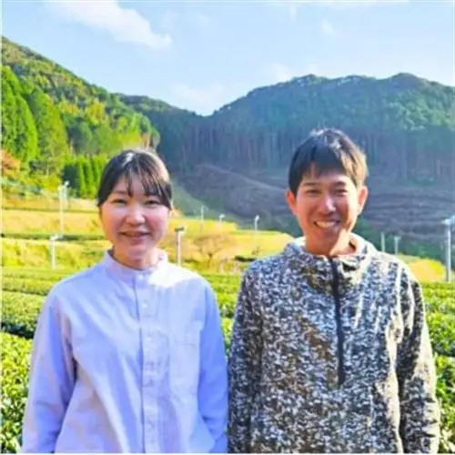 後岳産知覧茶3本セット【1185824】