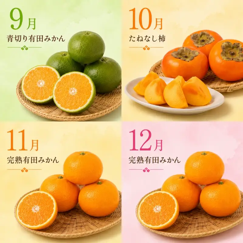【旬のくだもの定期便】和歌山県の旬のフルーツを毎月お届け！　全12回【Ｓ】（配送日時指定不可）※北海道・沖縄・離島への配送不可 / 定期便 フルーツ みかん いちご イチゴ すいか 桃 柿 ジュース 12回 【ard-tkb901A】