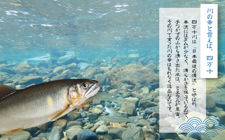 26-851．【4回定期便】鮎づくし！清流四万十川で育った天然鮎の定期便