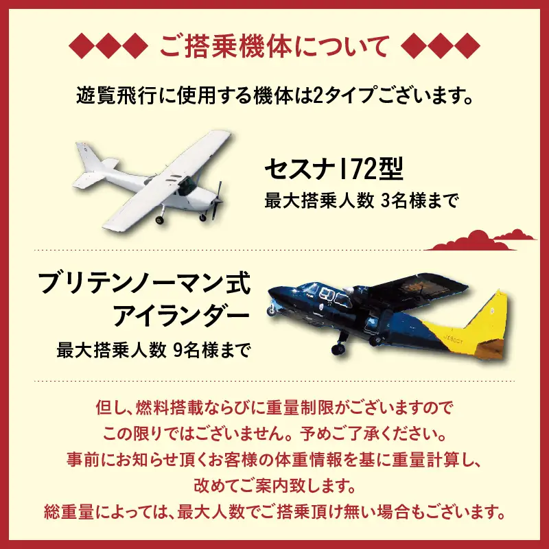 【 昼間 遊覧飛行 】 桜島コース セスナ式172型（大人3名まで） K222-FT001